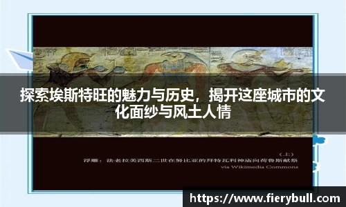 球速体育官网