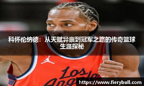 球速体育官网