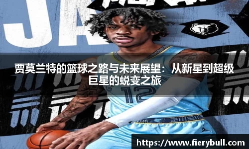 球速体育官网